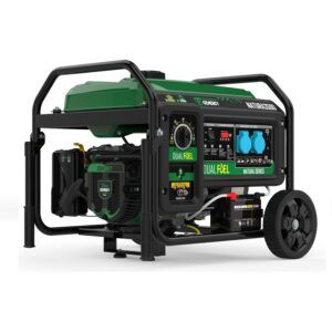 ¿Cómo elegir un generador eléctrico? 13 Generador de gas/gasolina Genergy Natura 3500