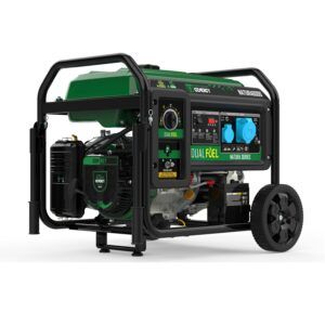 ¿Cómo elegir un generador eléctrico? 12 Generador de gas/gasolina Genergy Natura 6000